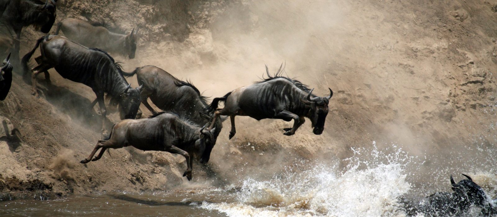 great-migration-river-crossing-kenya