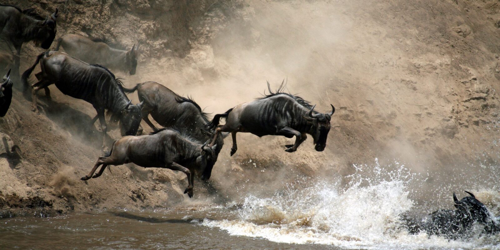 great-migration-river-crossing-kenya