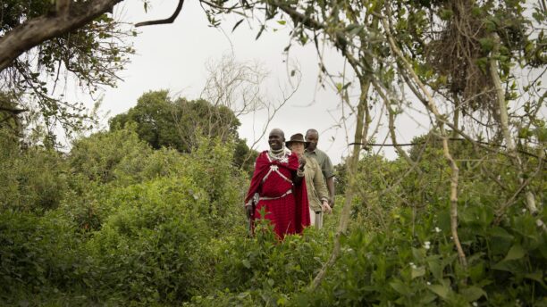 Highlands-Ngorongoro-guests-walking