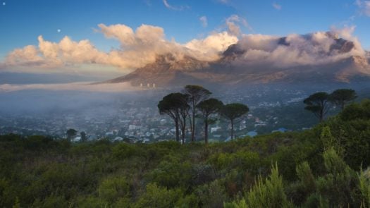 cape-town-city-view