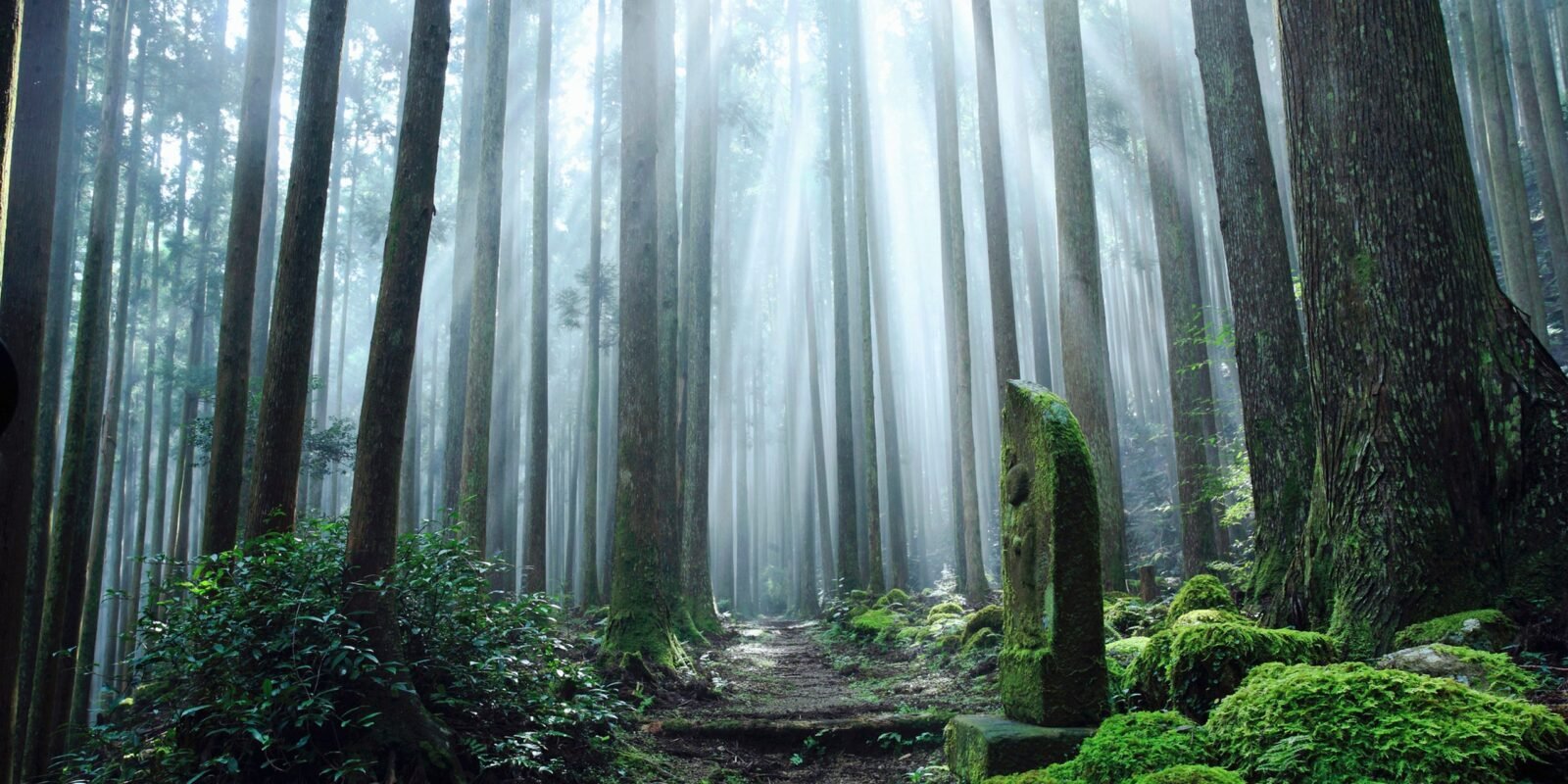 honshu Japan amanemu kumano kodo mie