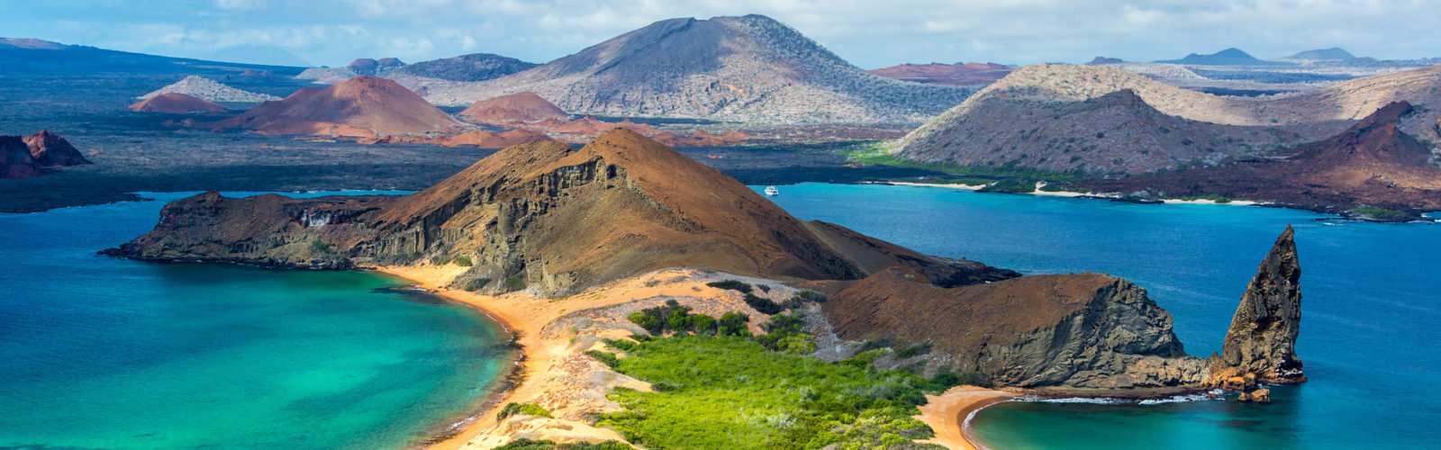 View from Bartolome Island