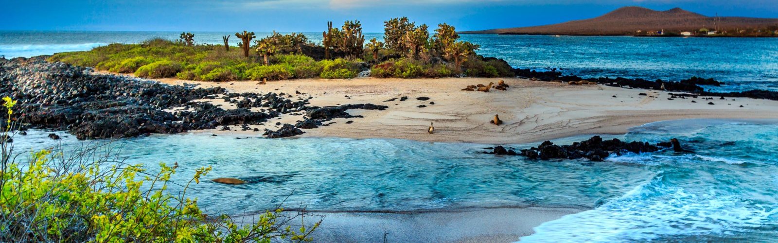 galapagos-islands