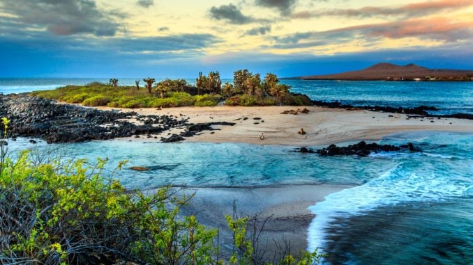 galapagos-islands