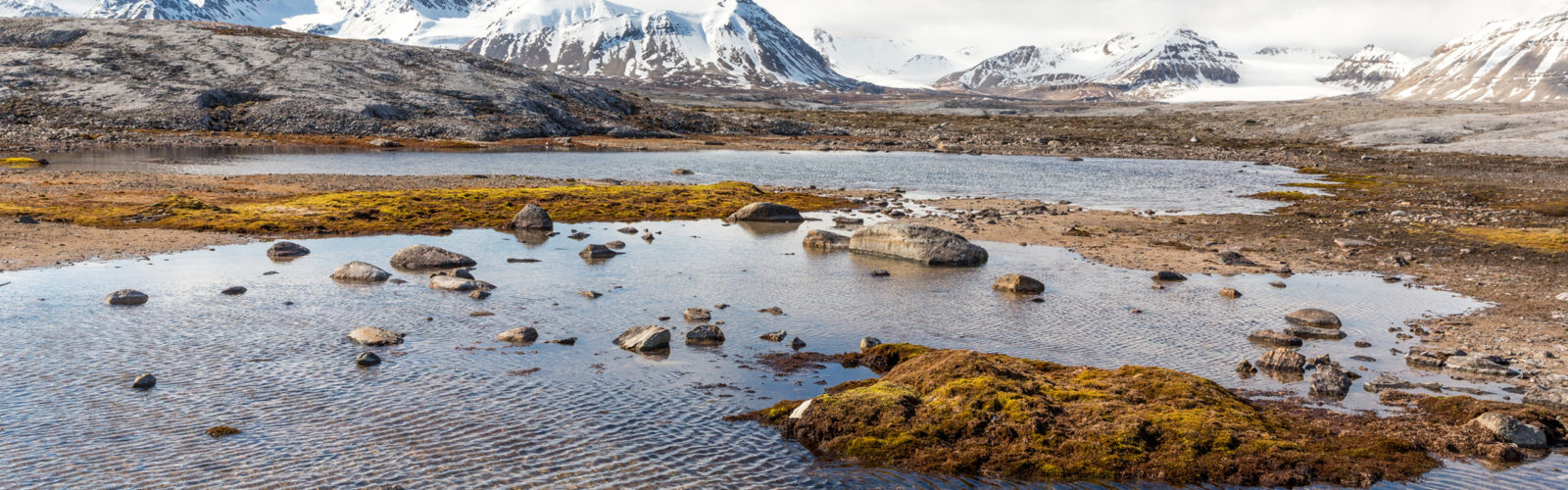 krossfjorden-svalbard