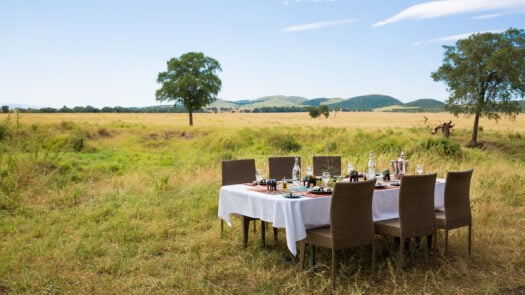 salas-camp-bush-lunch