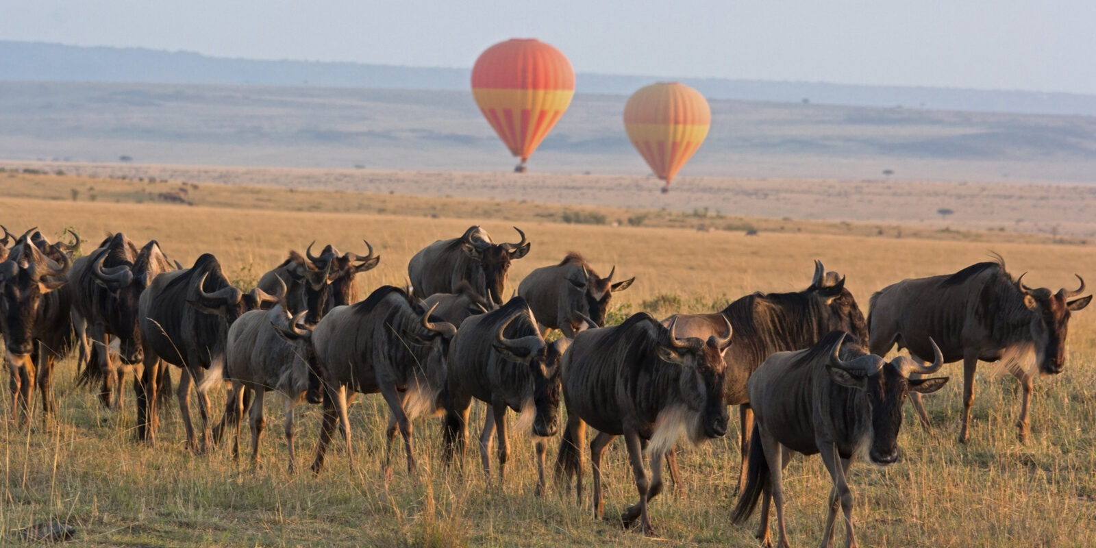 hot-air-balloon-maasai-mara-kenya