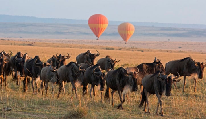 hot-air-balloon-maasai-mara-kenya