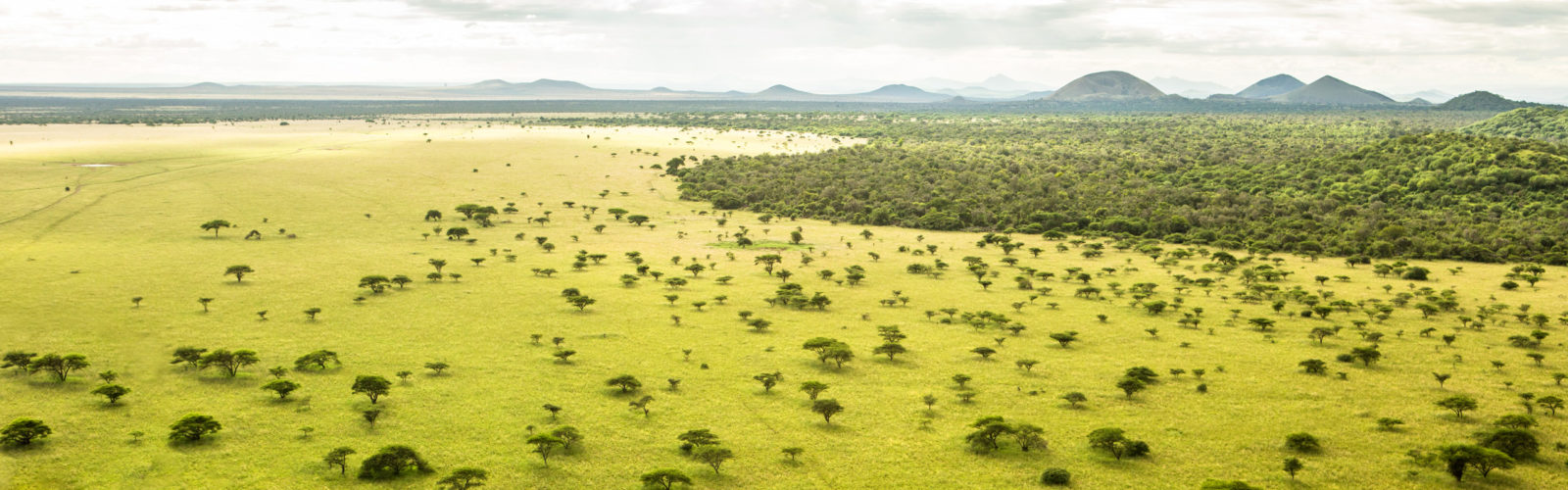 ol-donyo-lodge-landscape