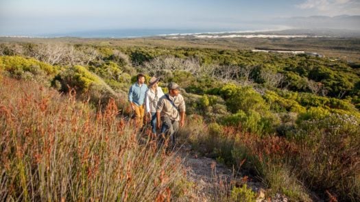 grootbos-reserve-whale-coast-south-africa