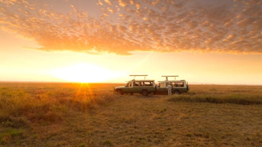 serengeti-safari-camp-game-drive