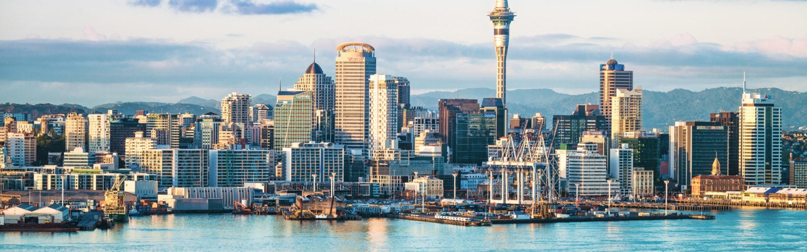 Auckland's skyline at dawn