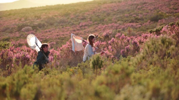 Grootbos