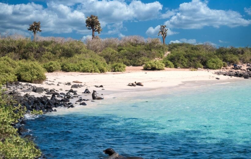 Coastal landscapes on Santa Fe Island